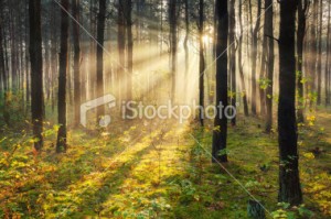 stock photo